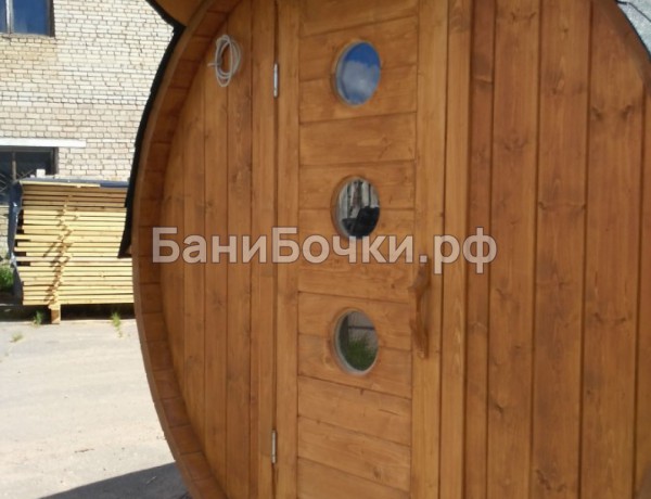 Дверь для бани №8 «Бочкарев» фото 8